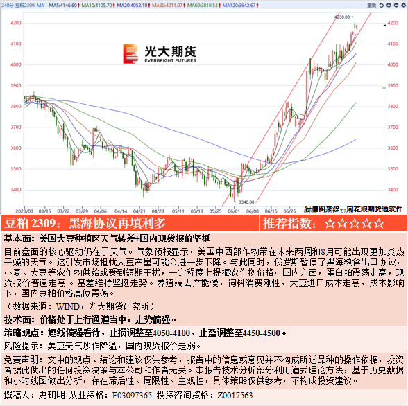 雾都森林捆绑主题网站