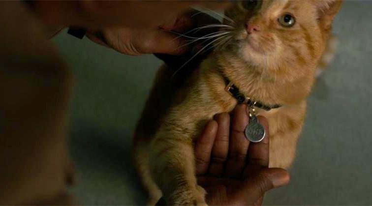 《惊奇队长》噬元兽吸粉,惊奇女士"很帅很强大"|电影|漫威|女士_新浪