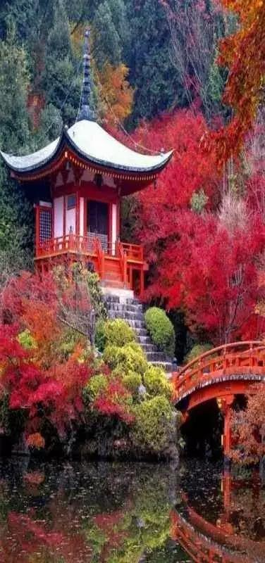中国最美古建筑,亭台楼阁,美哭了!