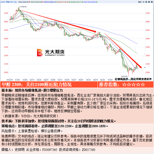 日本黄毛网站一区