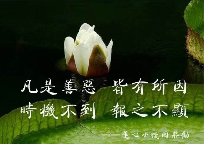 催收平台自食恶果全员被拘捕!"时机一到,善恶终有报"