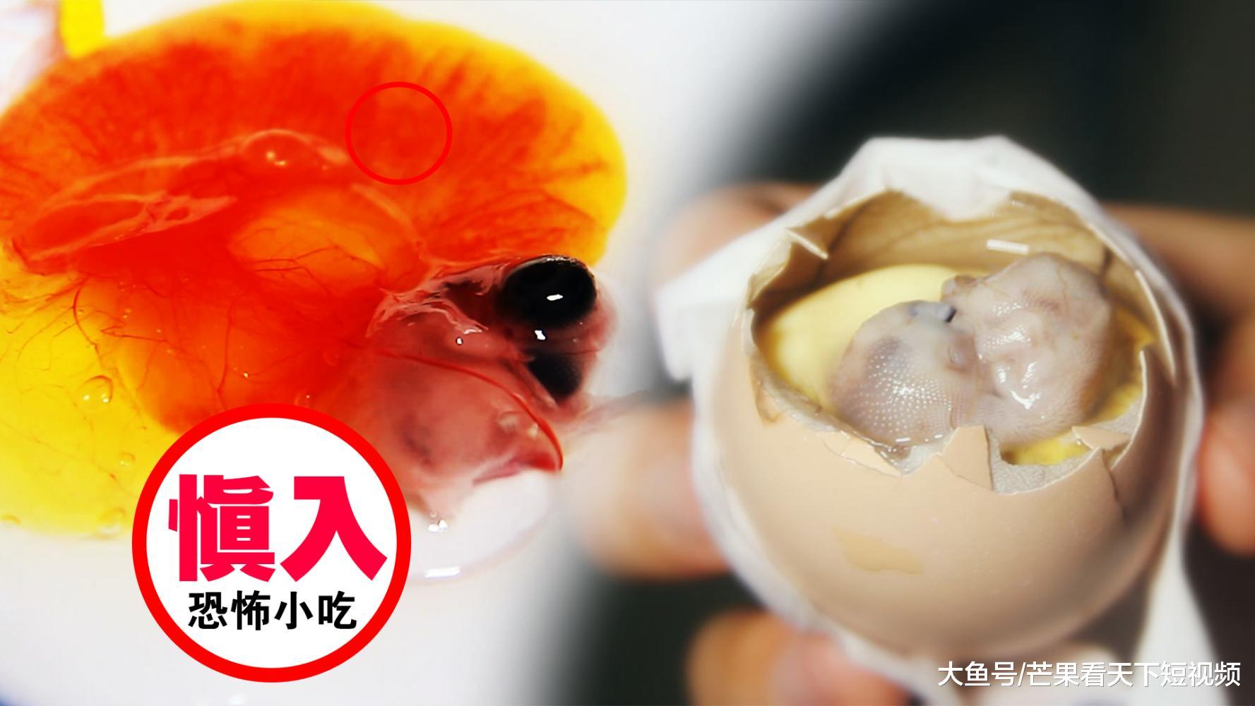 探秘中国十大恐怖小吃—闽南鸡仔胎,你敢吃吗?