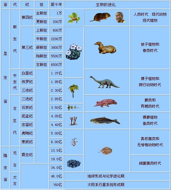 从生物的进化史我们可以了解到,从真核生物开始身体对称分两种,一种是