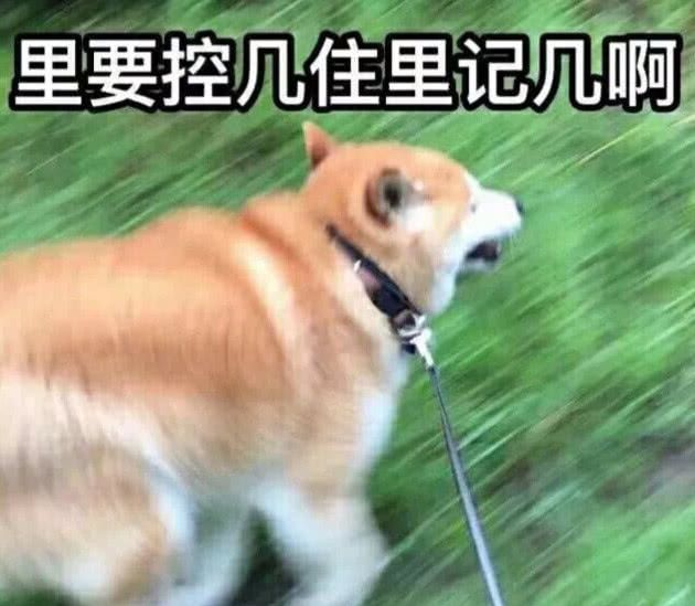 男生选的vs女生选的情侣头像差距太搞笑图四要控制自己