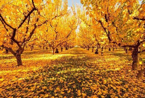 什么地区?侧面临着?耕地减少水土流失。