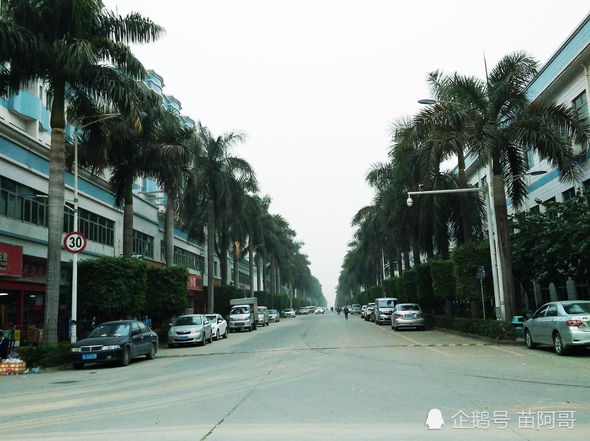 东莞塘厦林村新太阳工业城,留下多少打工仔记忆!