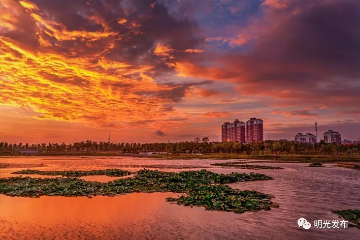 明光高温 大雨 湿热天气来袭!