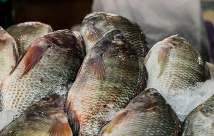 这种最"邋遢"的鱼,北方人嫌脏不敢吃,南方人:你们不懂享受