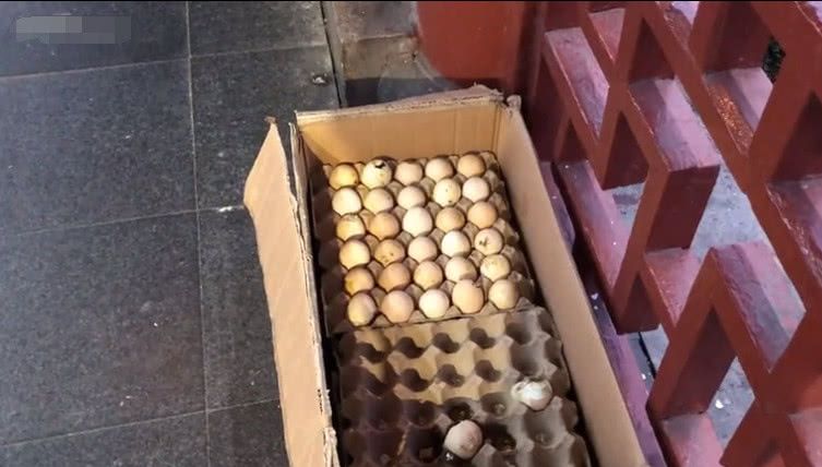 所以就变成了毛鸡蛋,上图中的这是一位大妈在街边卖的也算是一种小吃