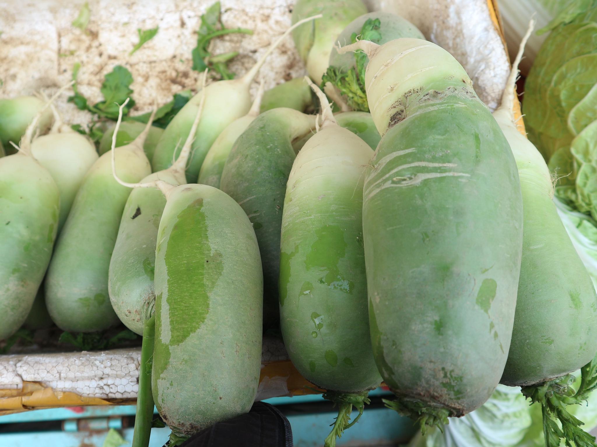 农民种植一种"水果萝卜",3亩净赚30000元,窍门在哪里?