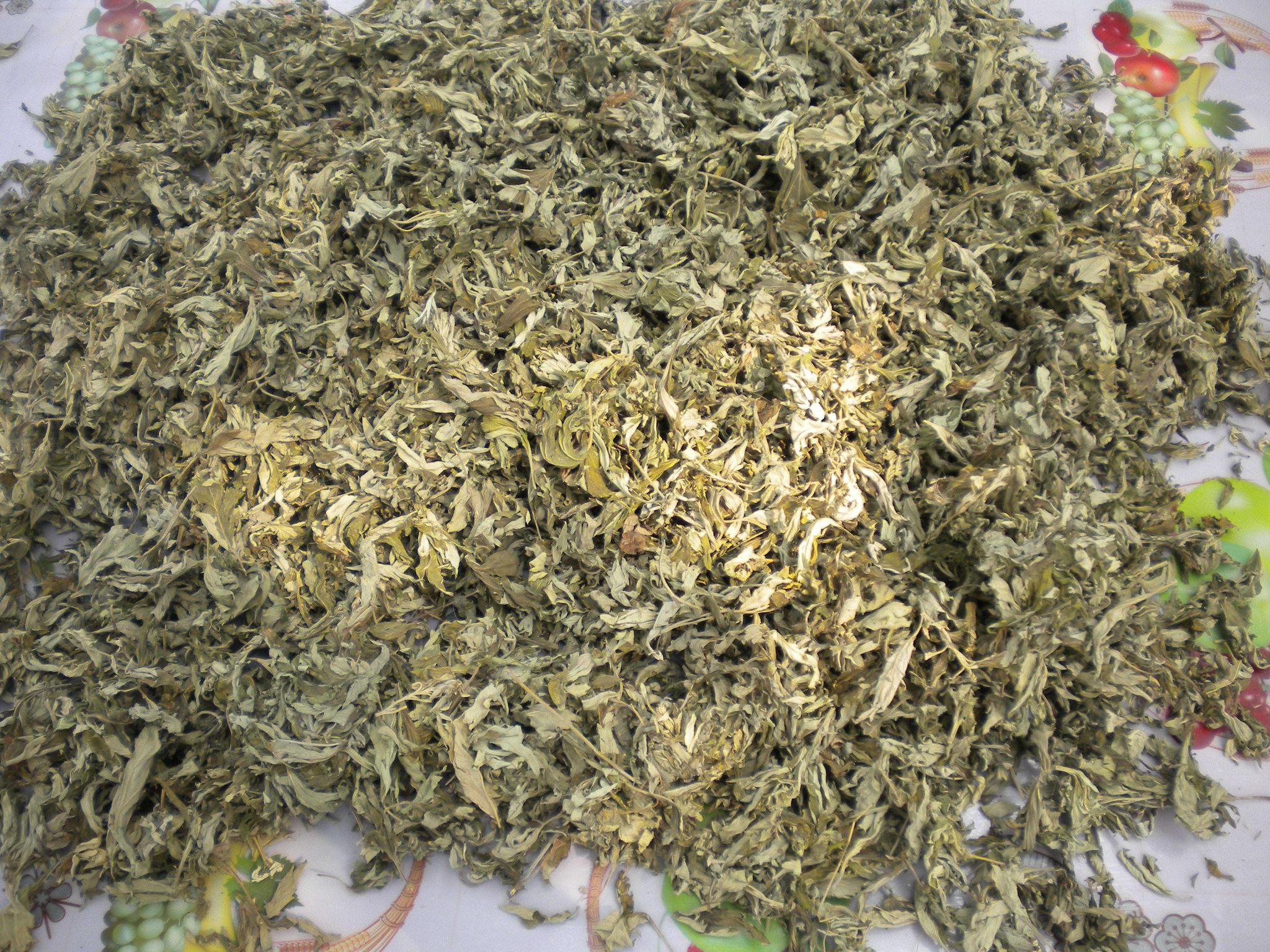 农村的一种"臭草",20年前用它熬水洗脚,南方人用来做团子__财经头条