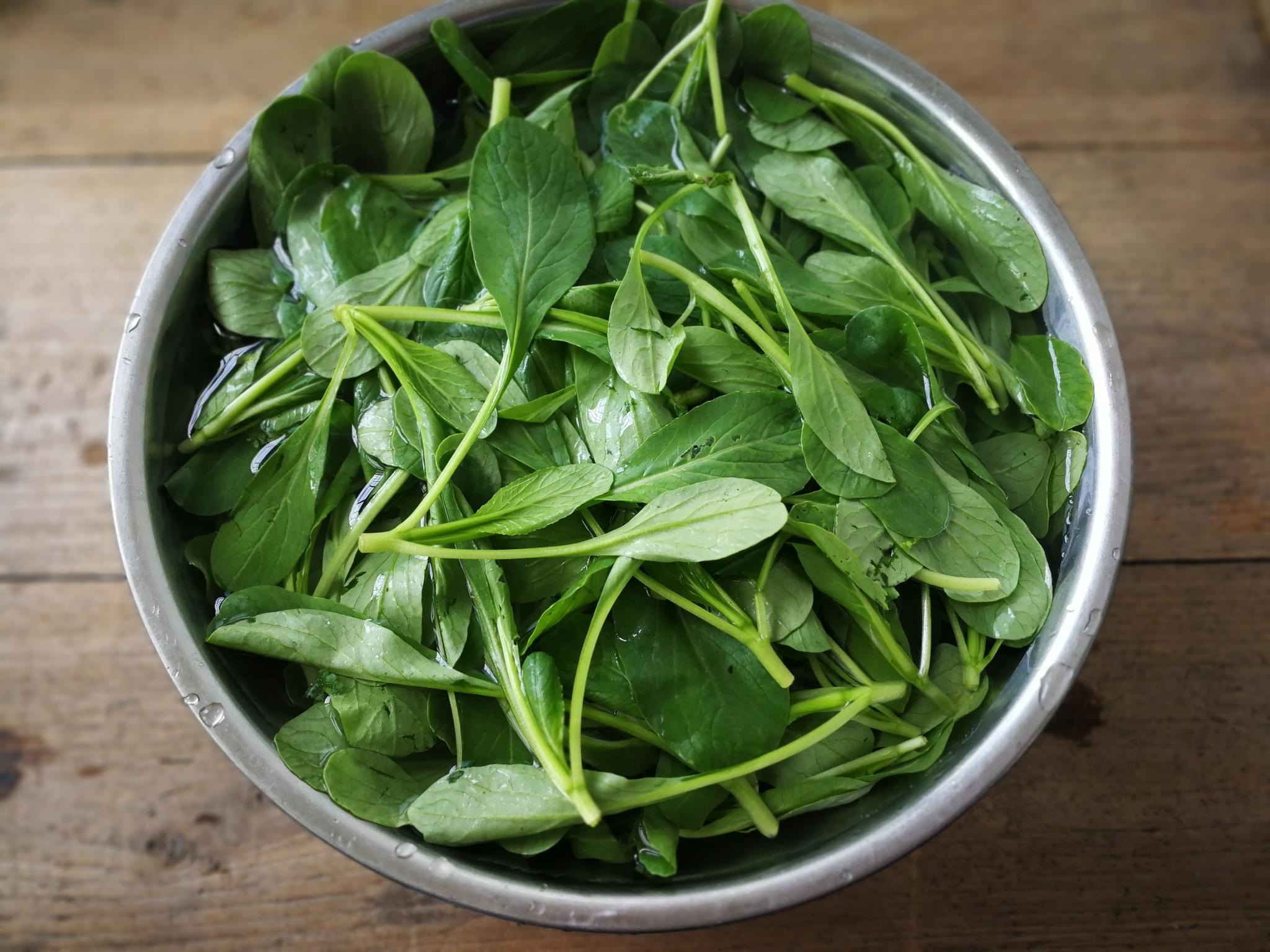 这种菜平常很少见,营养齐全,还有消炎的作用,老人小孩要多吃