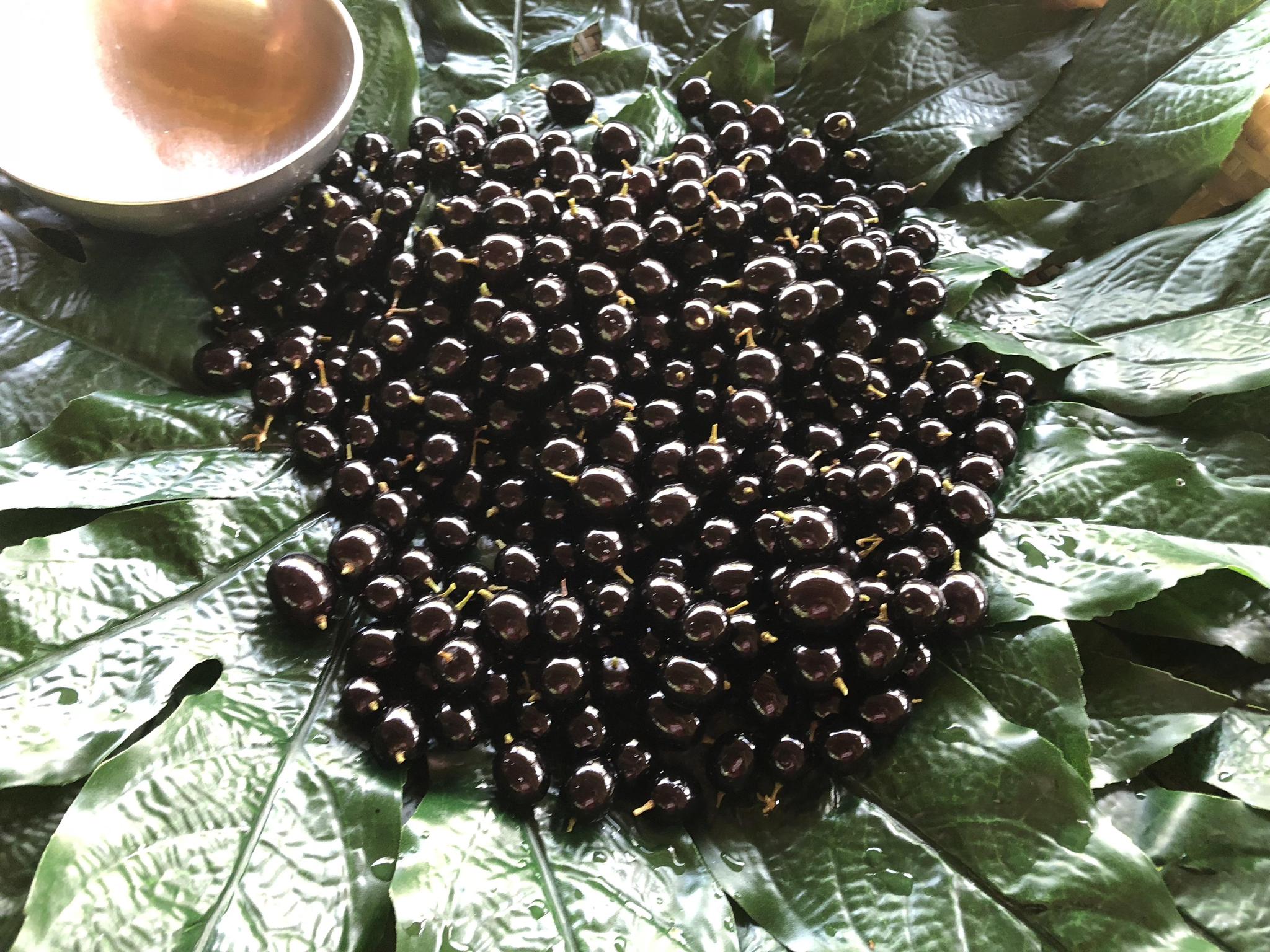 农村黑得发亮的乌梅是到底不是葡萄冒充的?得知答案慌了