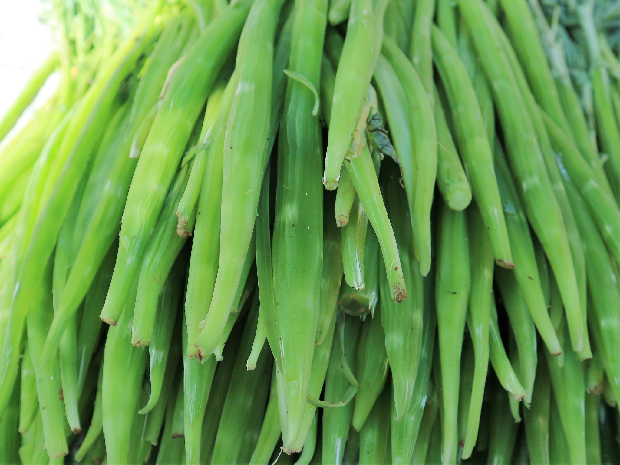 农村最赚钱的农作物,亩收入10000元,为什么农民不愿意种植?