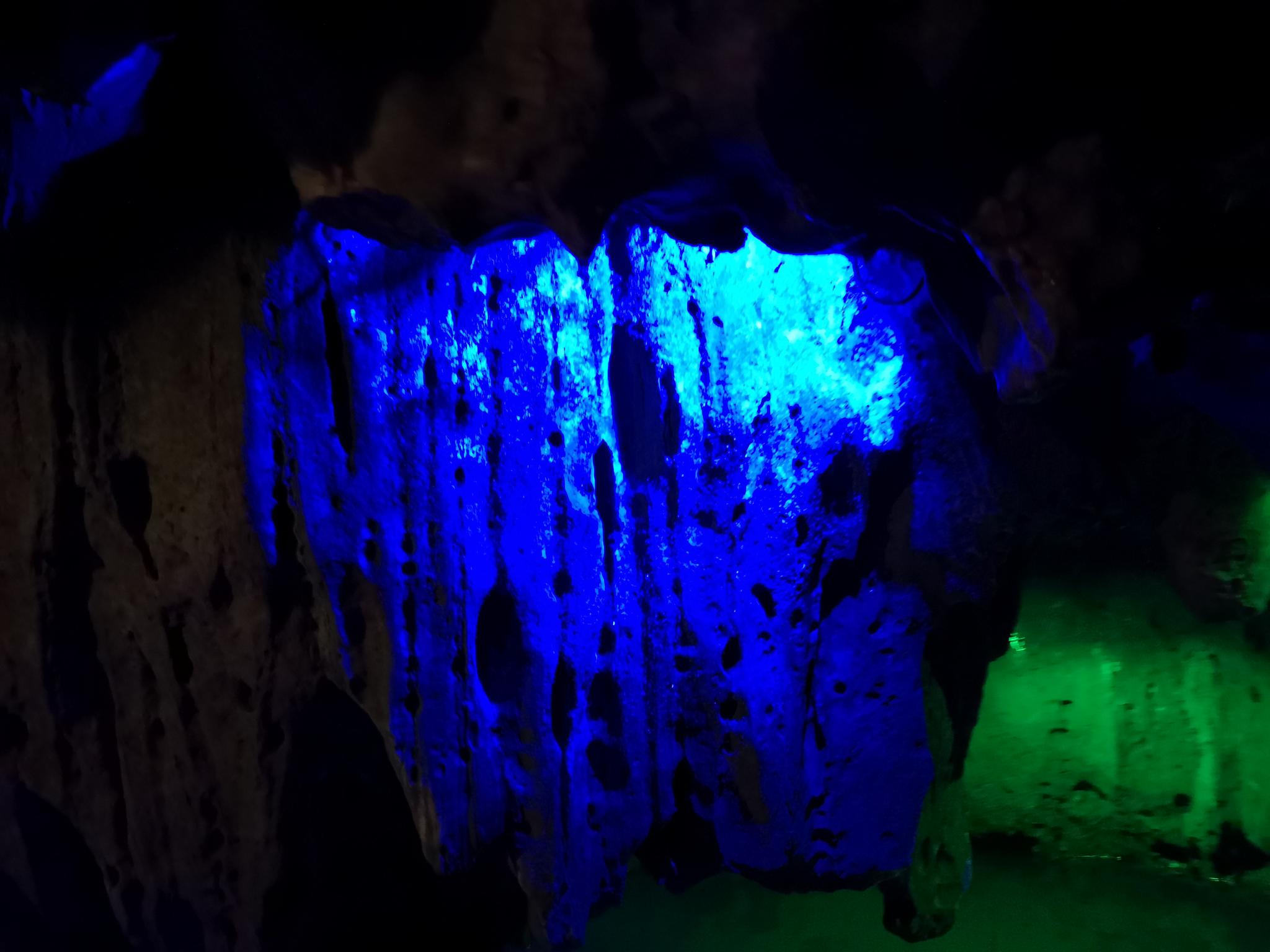 肇庆星湖的七星洞天,步行穿梭微缩世界,乘舟游览别有洞天