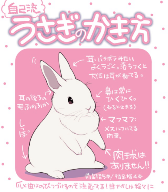 【干货】是兔叽! 简单可爱的兔子的画法!