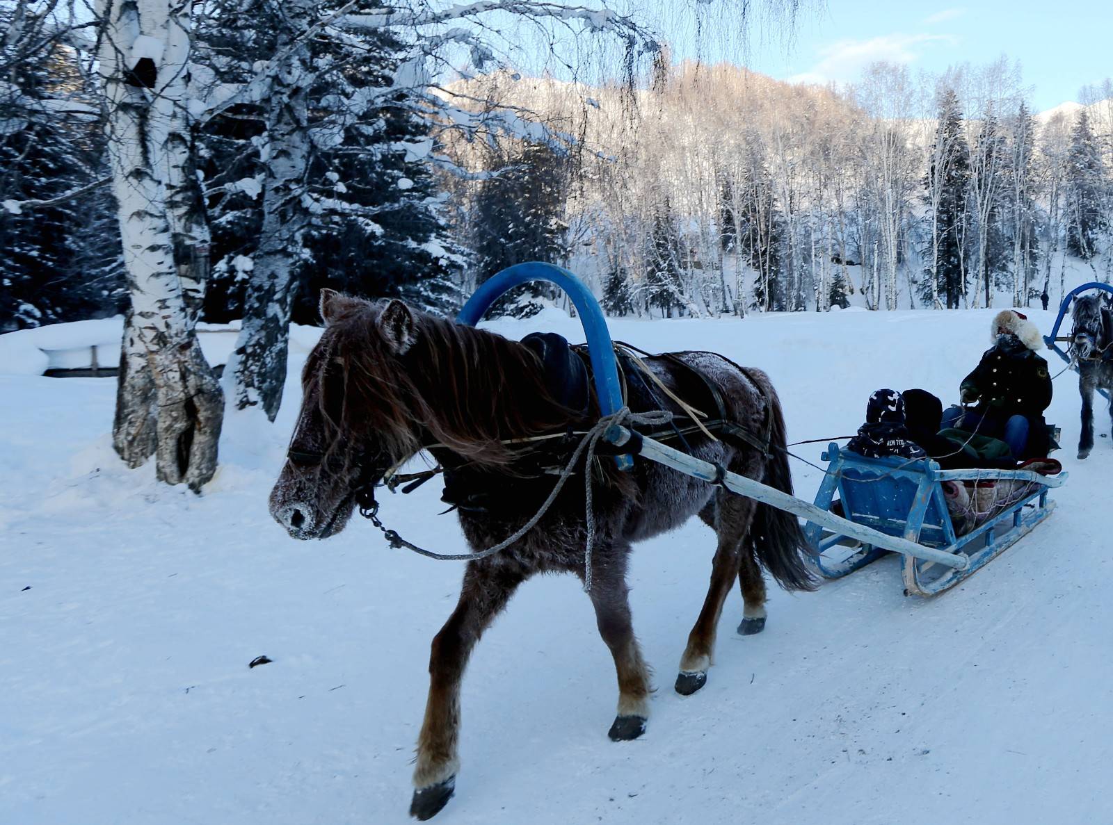 春运喜讯南航开通直飞阿勒泰航班