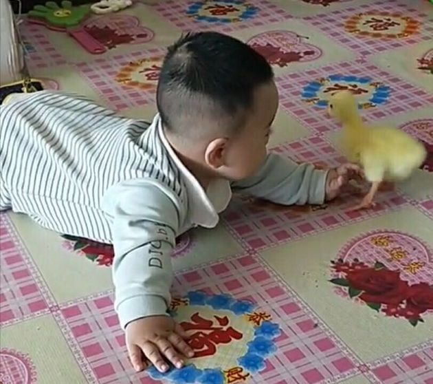 宝妈在厨房做事听到宝宝房间里有鸡叫宝妈推开房门哈哈笑