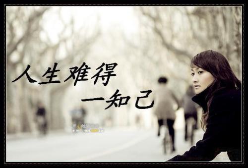 一生中需要多少人了解?不多,一知己足矣!