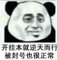 玩游开挂后的表情是这样的，外挂表情包|外挂|作弊|程序_新浪新闻