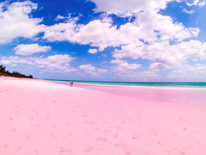 少女心炸裂的粉色沙滩,你知道在哪里吗?是怎么形成的?