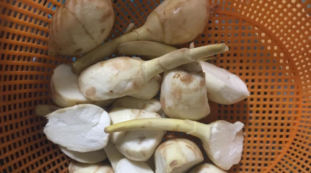 这植物的果实像芋头一斤卖8元却很少人知道它的这个作用