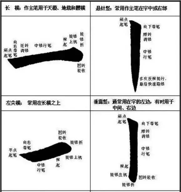 seo快速排名相信什么