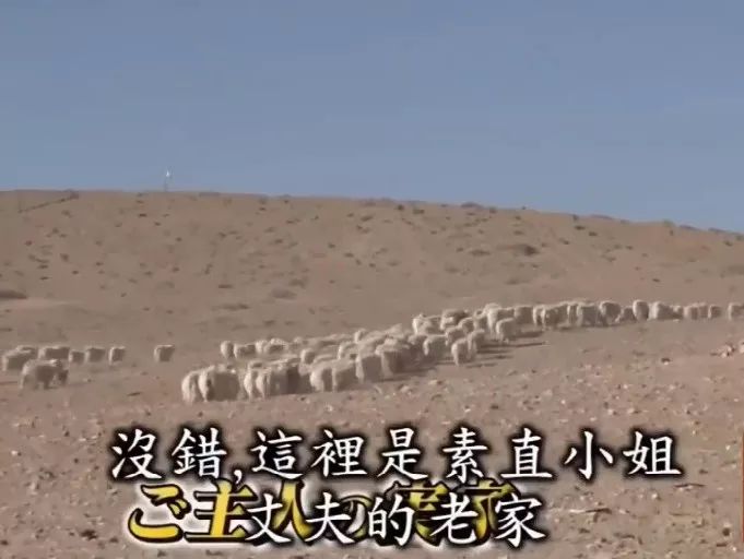日本女人的真实生活