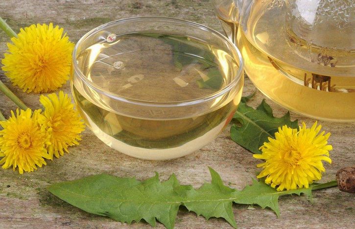 虽好,但是切莫大量饮用,要知道过犹不及,一次性大量饮用蒲公英水,容易