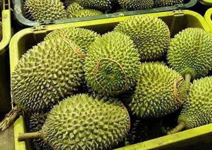 虽然榴莲价格居高不下,但是它带来的各种好处,还是让中国人对榴莲的