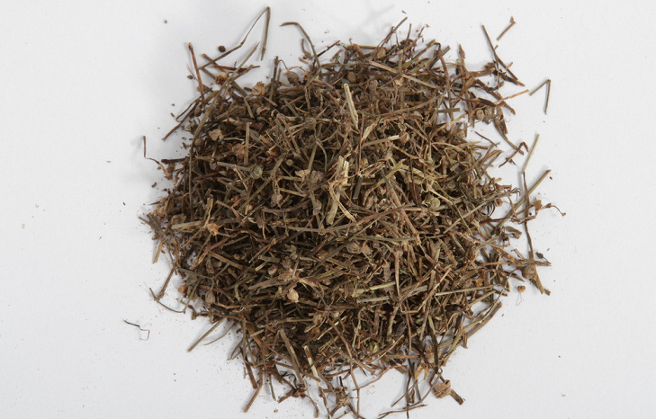 农村一种苦草民间用来泡茶喝排毒医学上称它抗癌圣药