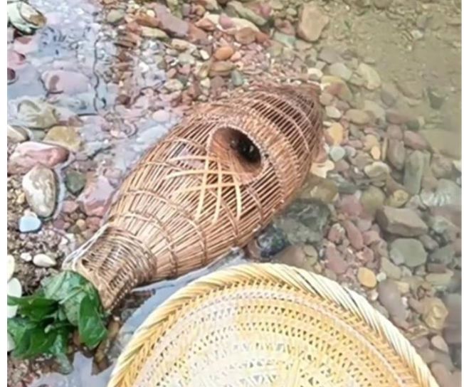 男子竹子自制地笼, 放在野外小溪中, 贫穷限制了我的想象!