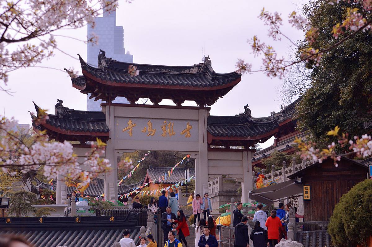 南京最古老的古刹闹市里的山寺它的樱花不比武汉大学的逊色