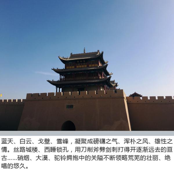 胡杨林逐星之旅 开皮卡房车 享受另一番生活方式-图3