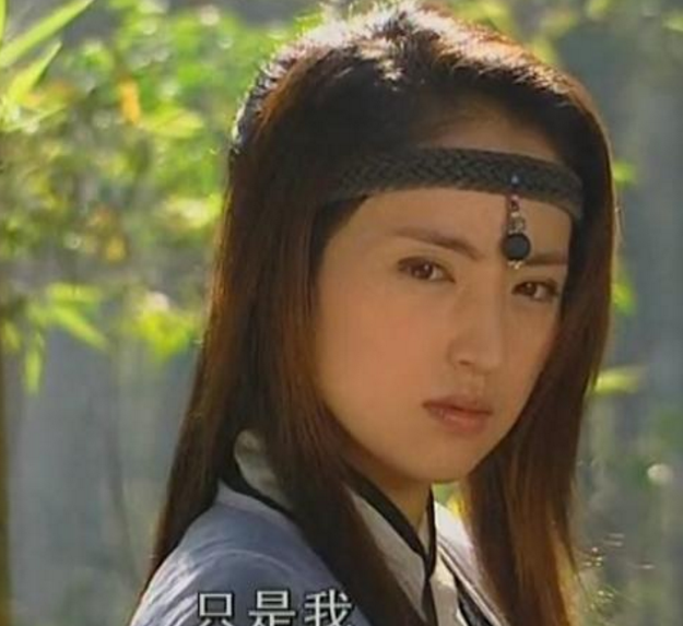 盘点雪花女神龙主演的现状有的隐退回归家庭有的不温不火