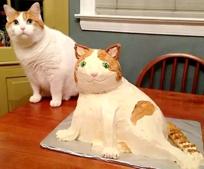 蛋糕的买家秀vs卖家秀:小猪佩奇丑到哭,第4个猫咪的表情亮了!