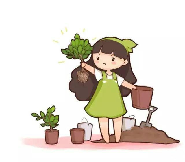 孕爸妈注意了,这6种花是不适合孕妇养的,孕妈要尽量远离哦