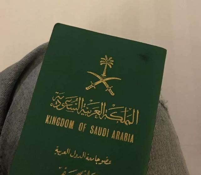 他们借口需要查看证件,抢走了rahaf的护照和信用卡.