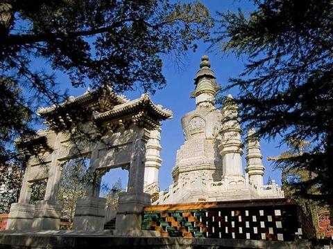 郴州小东江,龙脊梯田,喀纳斯,人类智慧的美景