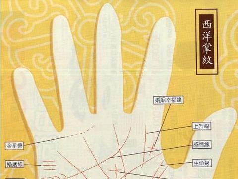 教你看掌之掌纹入门篇|生命线|掌纹|下意识_新浪新闻