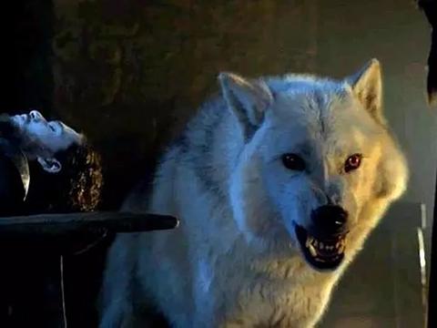 白灵确定现身《权力的游戏》第八季!特效总监曝它会做出满酷的事