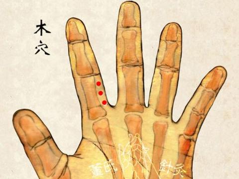 董氏奇穴之 木穴 脾肿穴