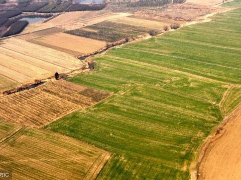 村委会租赁村民土地如何拿回来