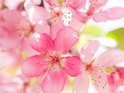 再熬三天,踩狗屎运,财运飙升,好运不断,富甲一方的4生肖!