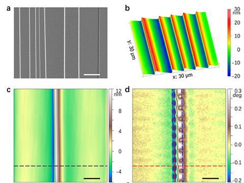 物理所非晶合金流变载体剪切带研究取得进展|剪切带|微米|纳米|合金|磁畴_新浪新闻
