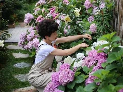 爱养花的女人,生活充满惊喜,家里处处都精致!|养花|落落|叶片_新浪新闻