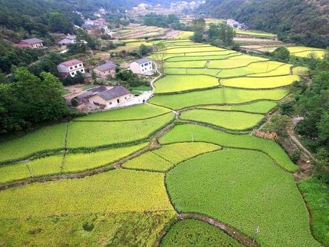 一顷土地和一公顷土地,等于多少亩的土地呢?|土地|面积|井田制|度量衡|计量单位_新浪新闻