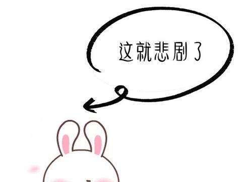 全国龙凤茶楼论坛:喝茶聊天的门道与趣事