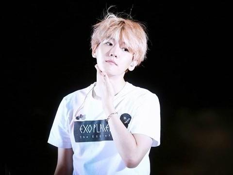 黄牛贩卖信息边伯贤评论,娱乐圈就需要这种爱豆