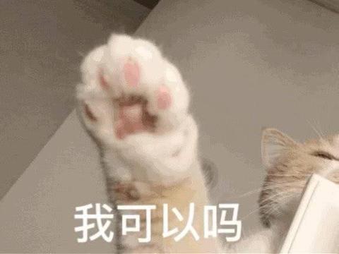 表情包：不听话，我要把你丢掉|表情包|目光_新浪新闻